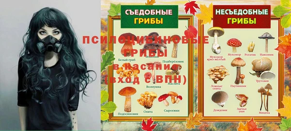 прущие крисы Алексин