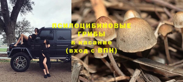 прущие крисы Алексин